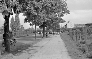 Senftenberg